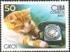 Colnect-1483-896-Cat-with-Telephone.jpg