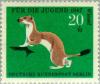 Colnect-155-054-Stoat-Mustela-erminea.jpg