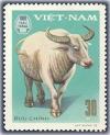 Colnect-1627-653-White-Domesticated-Water-Buffalo-Bos-bubalus-domesticus.jpg