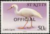 Colnect-1659-342-Western-Cattle-Egret---overprinted.jpg