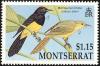 Colnect-1785-045-Montserrat-Oriole-Icterus-oberi.jpg