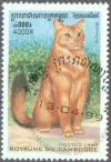 Colnect-2682-295-Somalian-Cat-Felis-silvestris-catus.jpg