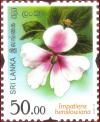 Colnect-3588-526-Impatiens-henslowiana.jpg