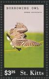 Colnect-3742-854-Burrowing-Owl-Athene-cunicularia---in-flight.jpg