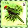 Colnect-4042-826-Sun-Parakeet-Aratinga-solstitalis-auricapilla.jpg