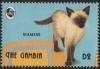 Colnect-4191-953-Siamese-Cat-Felis-silvestris-catus.jpg