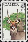 Colnect-5605-186-Waterbuck-Kobus-sp.jpg