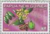 Colnect-5995-564-Native-Frangipani.jpg