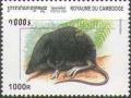 Colnect-1729-126-Eurasian-Water-Shrew-Neomys-fodiens.jpg