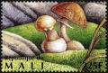 Colnect-2607-016-False-Death-Cap-Amanita-citrina.jpg