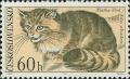 Colnect-438-968-Wildcat-Felis-silvestris.jpg