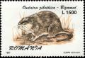 Colnect-4698-911-Muskrat-Ondatra-zibethicus.jpg