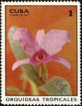 Colnect-4828-580-Cattleya-skinnerii.jpg