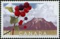 Colnect-573-848-Saskatoon-berries-Waterton-Lakes-National-Park-Canada.jpg