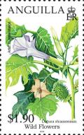 Colnect-593-472-Datura-stramonium.jpg