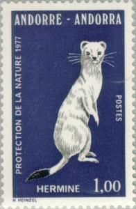 Colnect-141-938-Stoat-Mustela-erminea.jpg