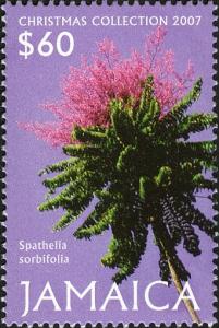 Colnect-2744-237-Spathelia-sorbifolia.jpg