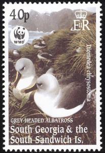 Colnect-4571-618-Grey-headed-Albatross-Thalassarche-chrysostoma.jpg