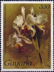 Colnect-4135-395-Cattleya-mendelii.jpg