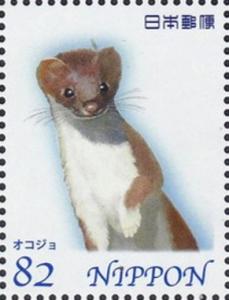 Colnect-4116-614-Stoat-Mustela-erminea.jpg