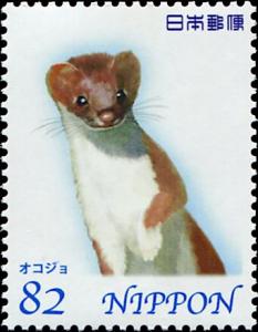 Colnect-5524-193-Stoat-Mustela-erminea.jpg