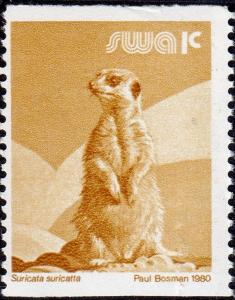 Colnect-4537-734-Meerkat-Suricata-suricatta.jpg