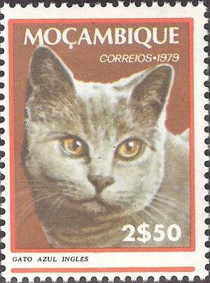 Colnect-1115-911-Domestic-Cat-Felis-silvestris-catus.jpg