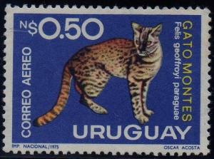 Colnect-1440-469-Geoffroy--s-Cat-Felis-geoffroyi-paraguae-.jpg