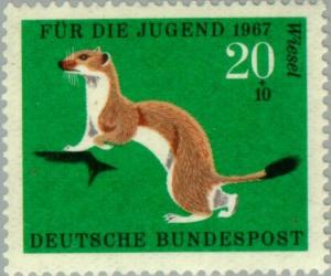 Colnect-152-590-Stoat-Mustela-erminea.jpg