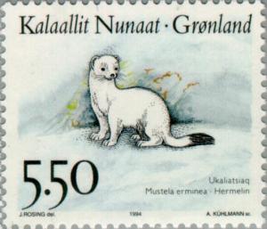 Colnect-158-527-Stoat-Mustela-erminea.jpg