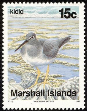 Colnect-1599-500-Wandering-Tattler-Heteroscelus-incanus.jpg