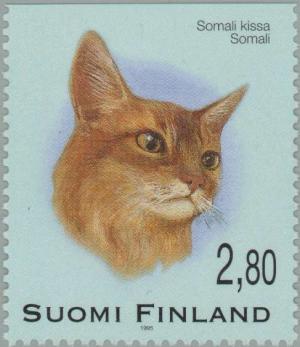 Colnect-160-318-Somalian-Cat-Felis-silvestris-catus.jpg