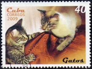 Colnect-1657-013-Domestic-Cat-Felis-silvestris-catus.jpg