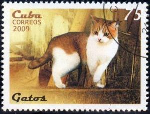 Colnect-1657-015-Domestic-Cat-Felis-silvestris-catus.jpg