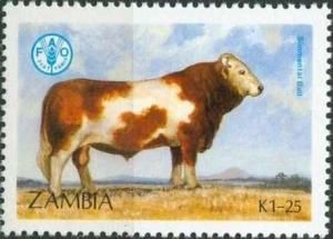 Colnect-1699-171-Simmentaler-Cattle-Bos-primigenius-taurus.jpg