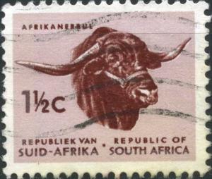 Colnect-2325-576-Africander-Cattle-Bos-primigenius-taurus.jpg