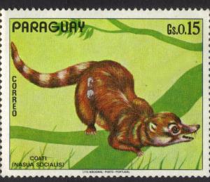 Colnect-2367-806-Coati-Nasua-socialis.jpg