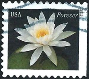 Colnect-2729-841-Water-Lilies-white.jpg