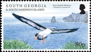 Colnect-3154-379-Grey-headed-Albatross-Thalassarche-chrysostoma.jpg