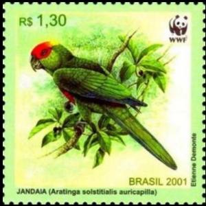 Colnect-4042-826-Sun-Parakeet-Aratinga-solstitalis-auricapilla.jpg