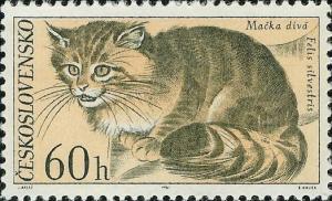 Colnect-438-968-Wildcat-Felis-silvestris.jpg