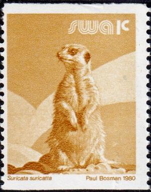 Colnect-4537-734-Meerkat-Suricata-suricatta.jpg