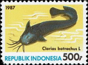 Colnect-4805-580-Walking-Catfish-Claris-batrachus-.jpg