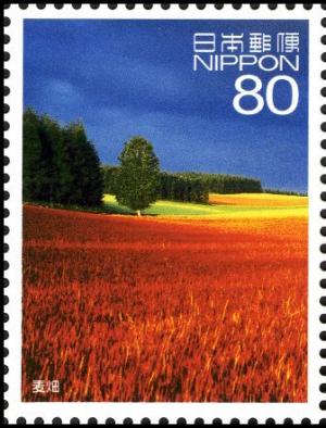 Colnect-5041-605-Fields-of-Wheat-Biei-cho-Kamikawa-District.jpg