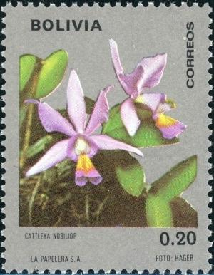 Colnect-5072-611-Cattleya-nobilior.jpg