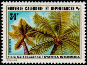 Colnect-853-920-Cyathea-Intermedia.jpg