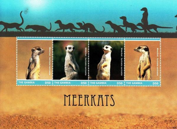 Colnect-3611-921-Meerkat-Suricata-suricatta.jpg