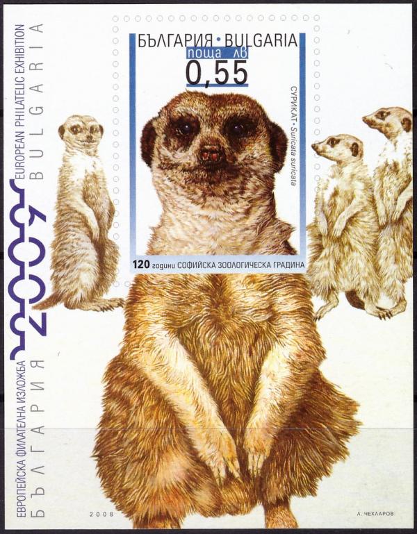 Colnect-4385-789-No-4854B-Imperforated---Meerkat-Suricata-suricata.jpg