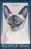 Colnect-2347-956-Siamese-Cat-Felis-silvestris-catus.jpg