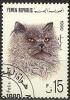 Colnect-1118-219-Persian-Cat-Felis-silvestris-catus.jpg